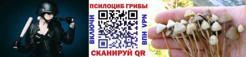 Галлюциногенные грибы мухоморы  Купить  Ильский 